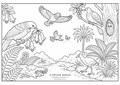 A Gift from Aotearoa  | Complimentary Colouring Page