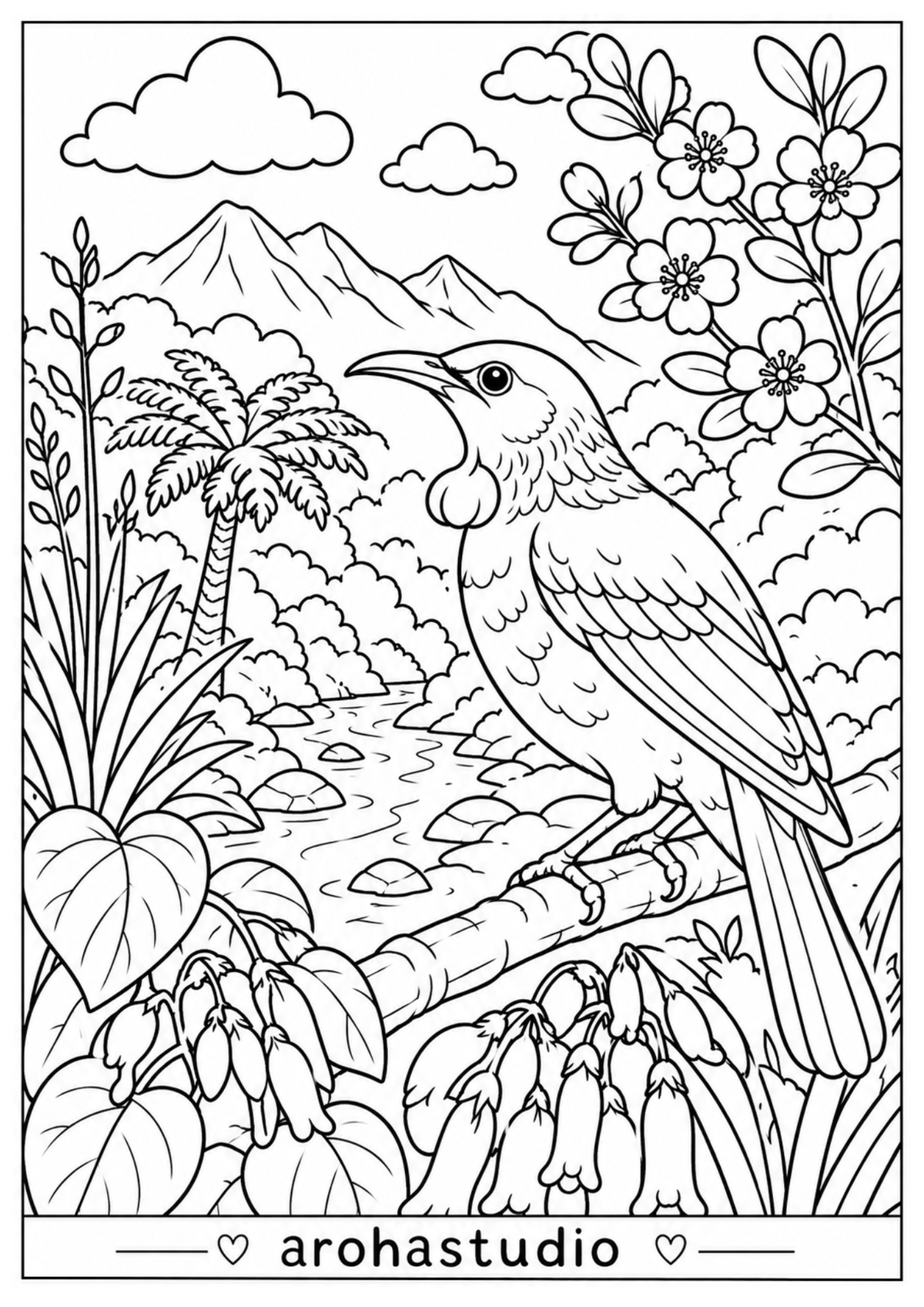 Tūi & Aotearoa