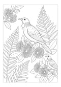 Tūi Colouring Page | Complimentary Download